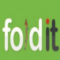 foldit