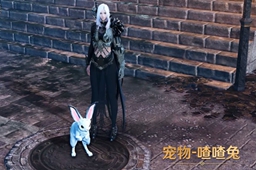 黑色沙漠手游喳喳兔获得方法