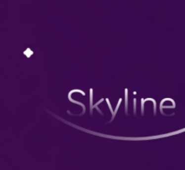 skyline模拟器安卓2022