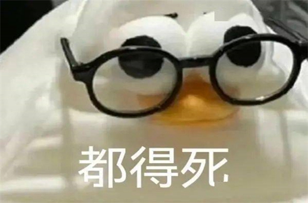 马兆海鸥是什么意思