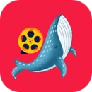鲸鱼视频app