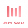 meta sense人机交互软件