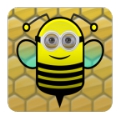 蜂巢迷宫最强大脑