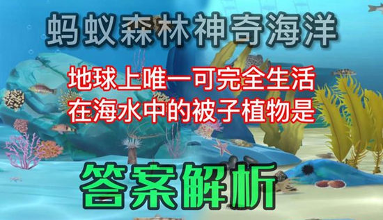 神奇海洋正确答案5.5