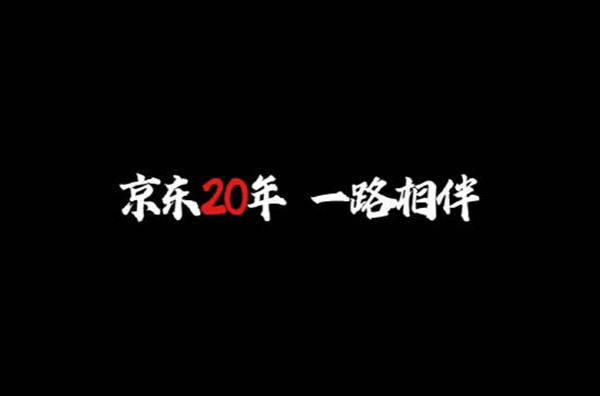 京东20年回忆录怎么看