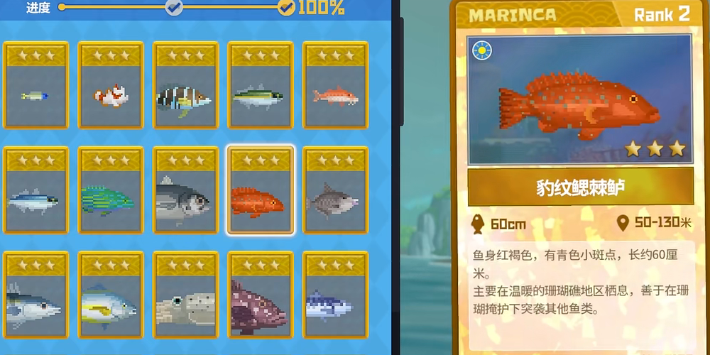 潜水员戴夫豹纹鳃棘鲈在哪抓