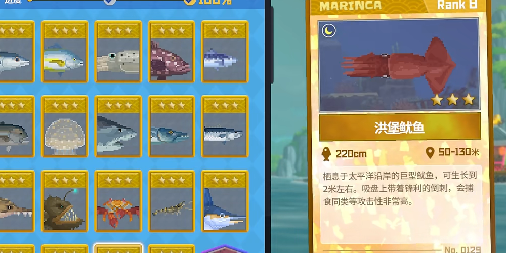 潜水员戴夫洪堡鱿鱼在哪抓