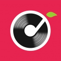 草莓铃音安卓版app