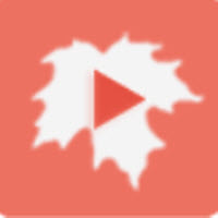 枫叶追剧八卦社