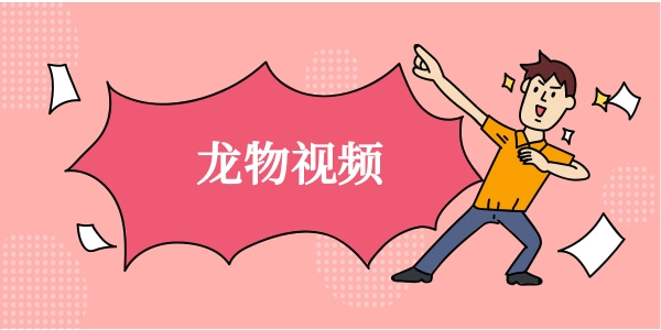 和龙物视频差不多的手机软件大全