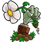 植物大战僵尸自制英文内置菜单版