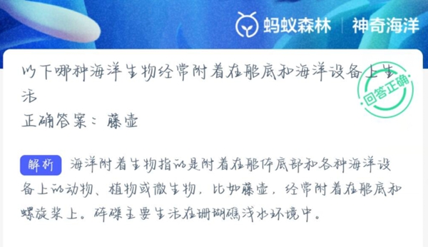 神奇海洋正确答案1.30