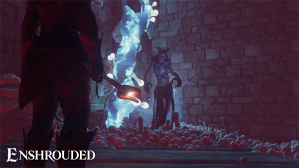 雾锁王国双开门怎么做