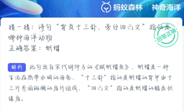 神奇海洋正确答案2.6