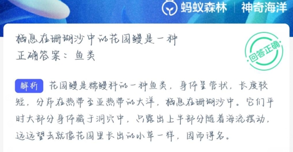 神奇海洋正确答案2.22