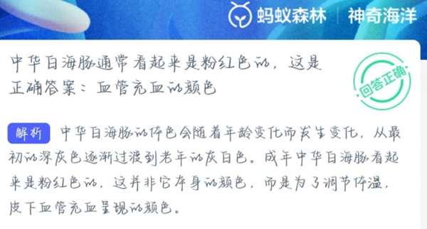 神奇海洋正确答案2.26