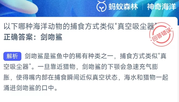 神奇海洋正确答案3.1