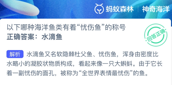 神奇海洋正确答案3.6