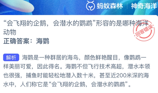 神奇海洋正确答案3.7