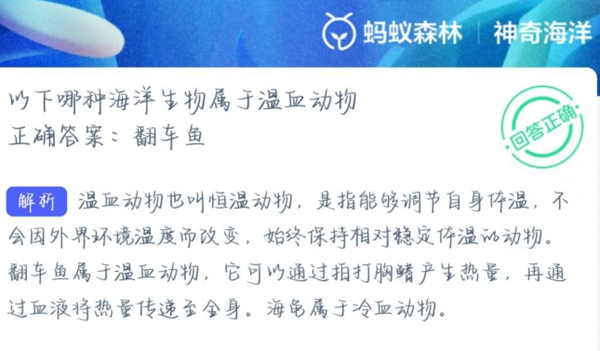 神奇海洋正确答案3.14