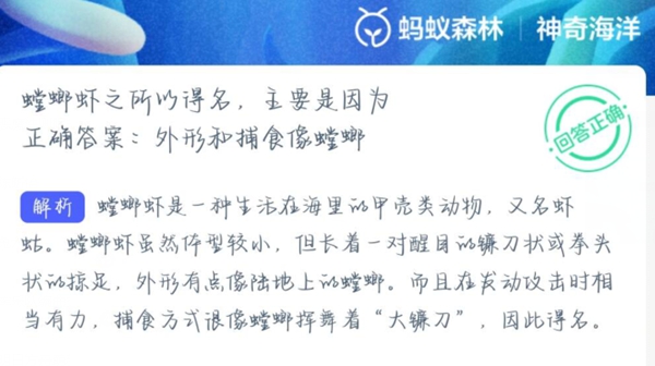 神奇海洋正确答案3.15