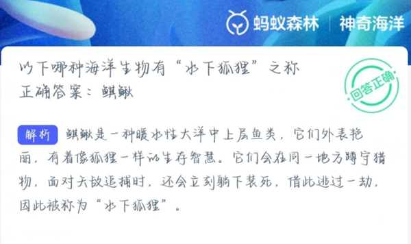 神奇海洋正确答案3.18