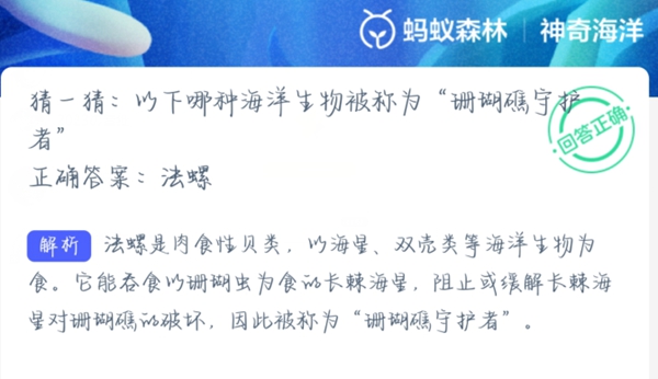 神奇海洋正确答案3.25