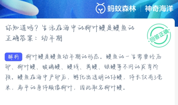 神奇海洋正确答案4.1