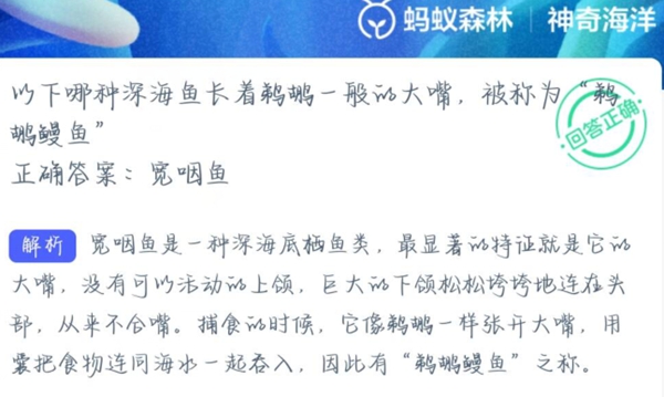 神奇海洋正确答案4月7日