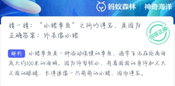 神奇海洋正确答案4月11日