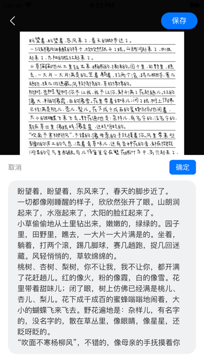 懒人手写模拟器