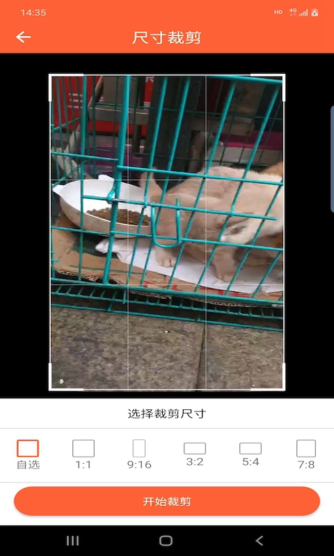 鸿翔水印app